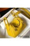 Hermes Lindy Mini Bag In Yellow Clemence Leather GHW