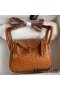 Hermes Mini Lindy Handmade Bag In Gold Ostrich Leather