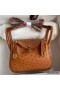 Hermes Mini Lindy Handmade Bag In Gold Ostrich Leather