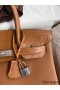 Hermes Touch Birkin 30 Bag in Gold Clemence and Matte Alligator Leather