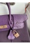 Hermes Touch Birkin 30 Bag in Raisin Clemence and Matte Alligator Leather