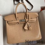 Hermes Birkin 25 Retourne Handmade Bag In Beige Lizard Leather