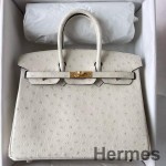 Hermes Birkin 25 Retourne Handmade Bag In Beton Ostrich Leather