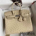 Hermes Birkin 25 Retourne Handmade Bag In Parchemin Ostrich Leather
