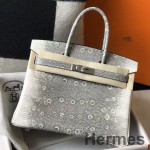 Hermes Birkin 25cm Bag In Ombre Embossed Natural Lizard