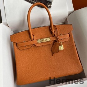 Hermes Birkin 25 Handmade Bag In Orange Clemence Leather