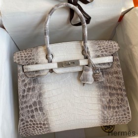 Hermes Birkin 25 Retourne Bag In Himalaya Niloticus Crocodile Skin
