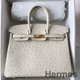 Hermes Birkin 25 Retourne Handmade Bag In Beton Ostrich Leather