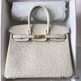 Hermes Birkin 25 Retourne Handmade Bag In Beton Ostrich Leather