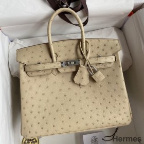 Hermes Birkin 25 Retourne Handmade Bag In Parchemin Ostrich Leather