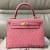 Hermes Kelly 25cm Handmade Bag In Terre Cutie Ostrich Skin
